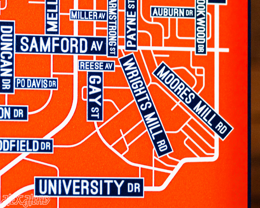 Auburn School Street Poster Single Layer Metal Wall Art
