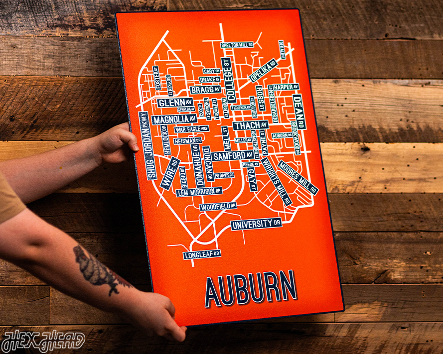 Auburn School Street Poster Single Layer Metal Wall Art