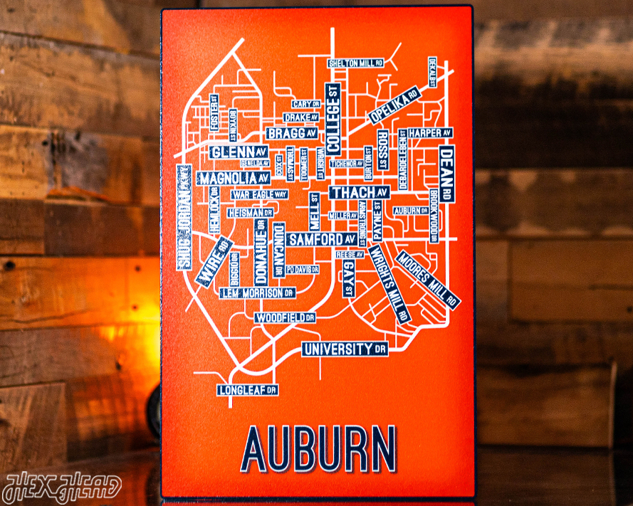 Auburn School Street Poster Single Layer Metal Wall Art