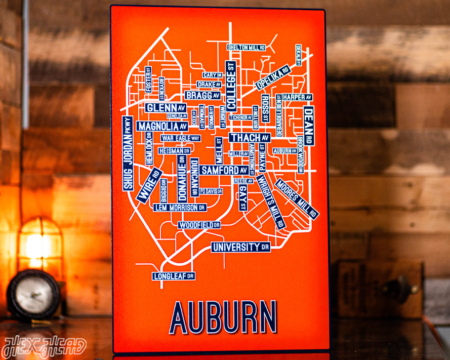 Auburn School Street Poster Single Layer Metal Wall Art