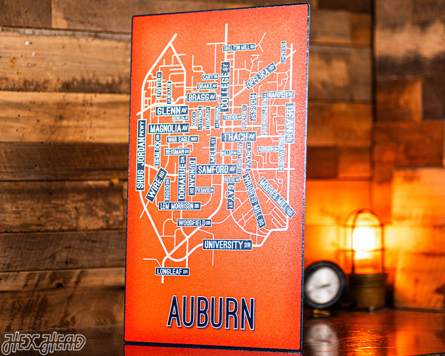 Auburn School Street Poster Single Layer Metal Wall Art