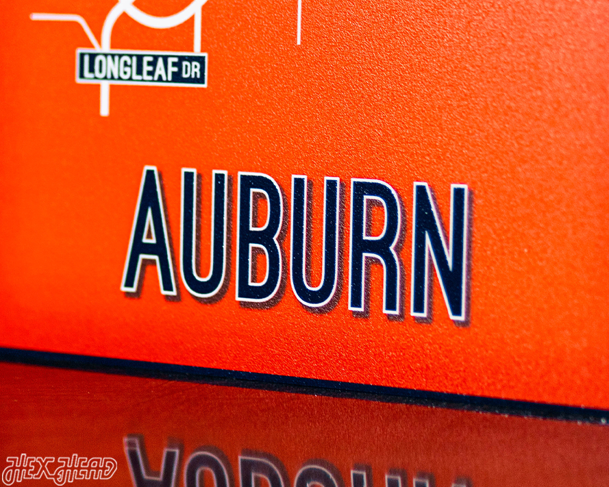 Auburn School Street Poster Single Layer Metal Wall Art