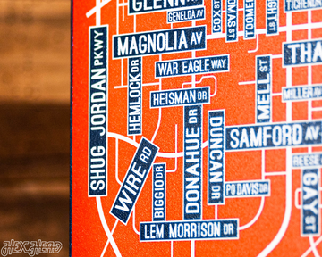 Auburn School Street Poster Single Layer Metal Wall Art