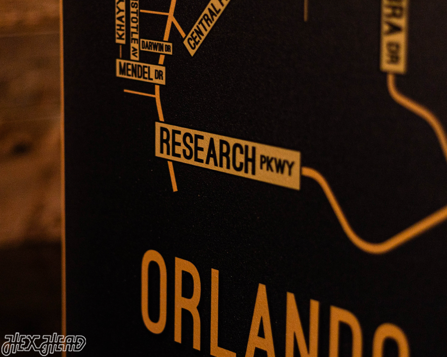 Orlando, Central Florida School Street Poster Single Layer Metal Wall Art