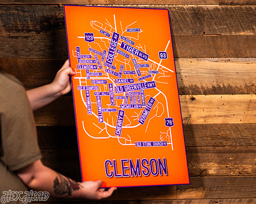 Clemson School Street Poster Single Layer Metal Wall Art