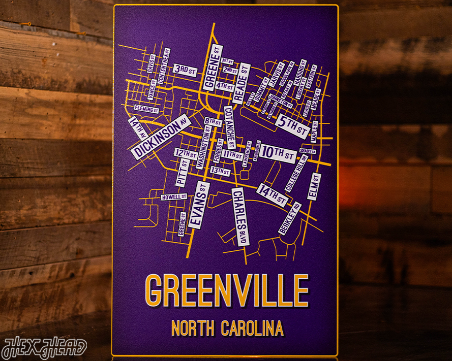 Greenville, North Carolina School Street Poster Single Layer Metal Wall Art