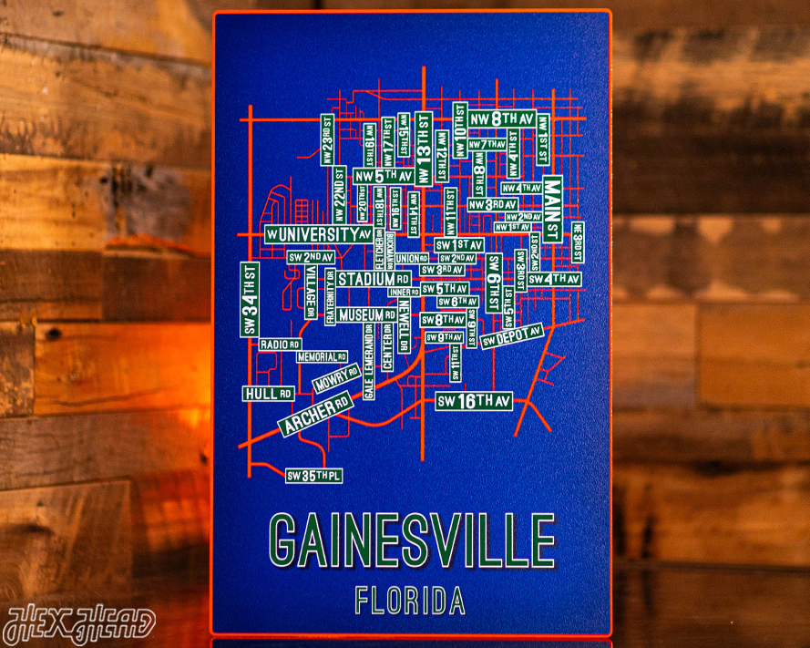 Gainesville, Florida School Street Poster Single Layer Metal Wall Art