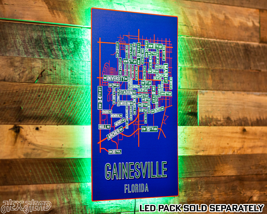 Gainesville, Florida School Street Poster Single Layer Metal Wall Art