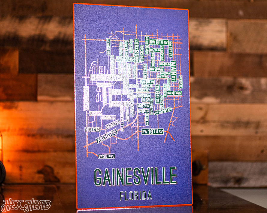 Gainesville, Florida School Street Poster Single Layer Metal Wall Art