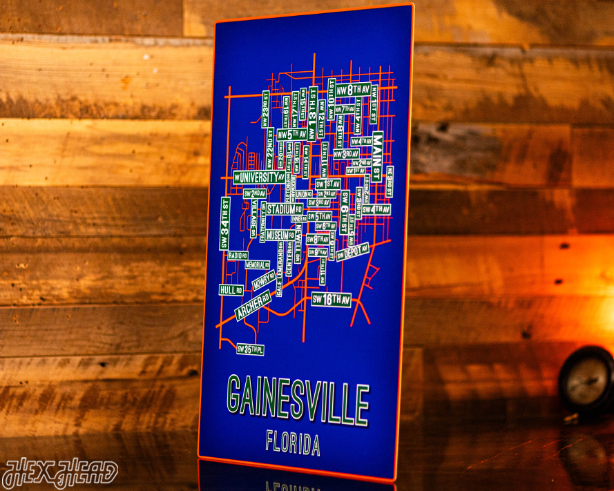 Gainesville, Florida School Street Poster Single Layer Metal Wall Art