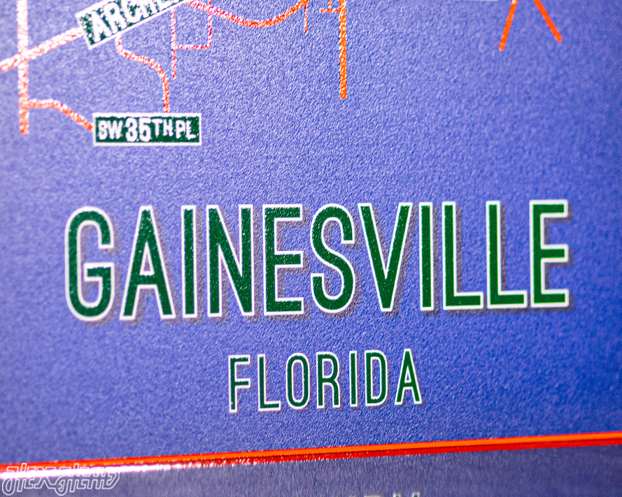 Gainesville, Florida School Street Poster Single Layer Metal Wall Art