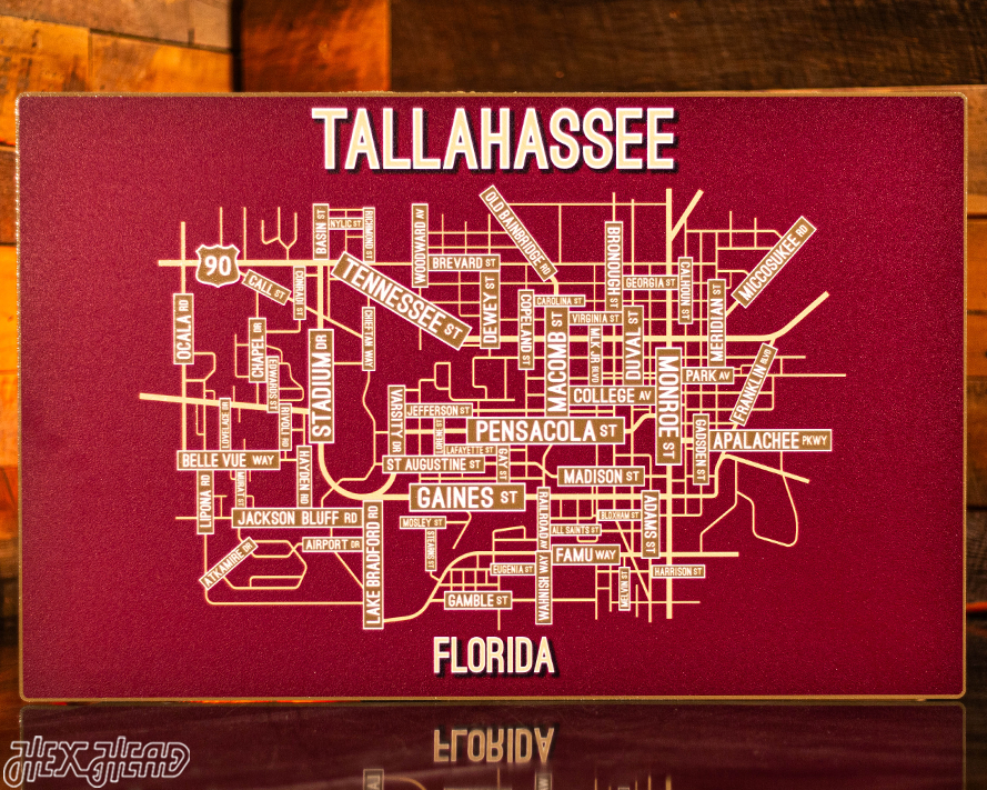 Tallahassee, Florida School Street Poster Single Layer Metal Wall Art