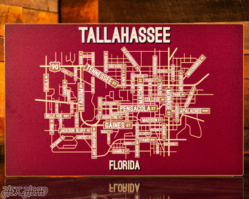 Tallahassee, Florida School Street Poster Single Layer Metal Wall Art