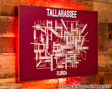 Tallahassee, Florida School Street Poster Single Layer Metal Wall Art