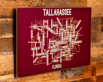 Tallahassee, Florida School Street Poster Single Layer Metal Wall Art