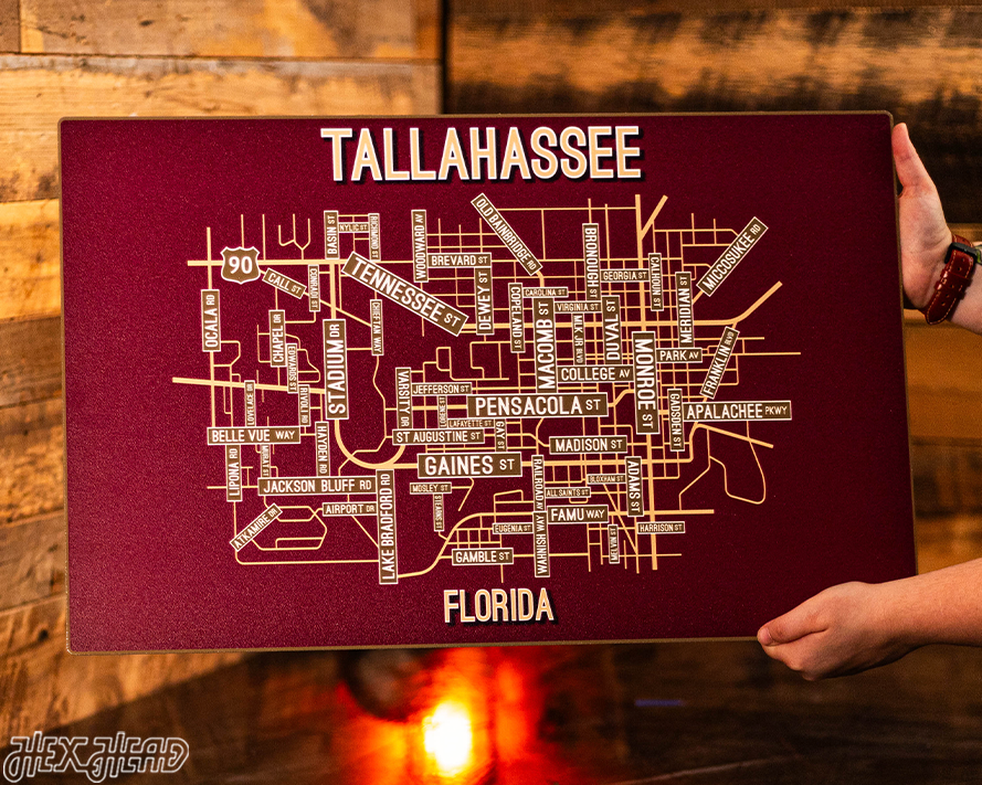 Tallahassee, Florida School Street Poster Single Layer Metal Wall Art