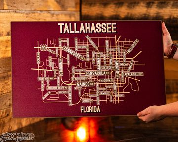 Tallahassee, Florida School Street Poster Single Layer Metal Wall Art