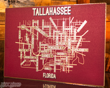 Tallahassee, Florida School Street Poster Single Layer Metal Wall Art