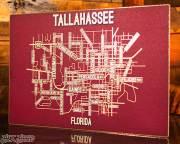 Tallahassee, Florida School Street Poster Single Layer Metal Wall Art