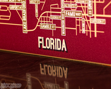 Tallahassee, Florida School Street Poster Single Layer Metal Wall Art