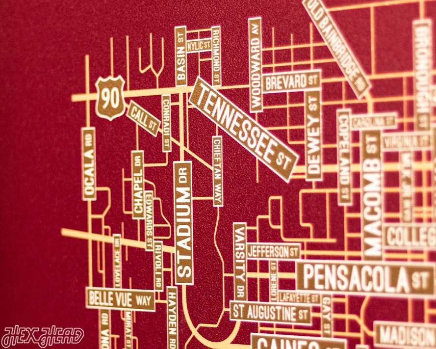 Tallahassee, Florida School Street Poster Single Layer Metal Wall Art