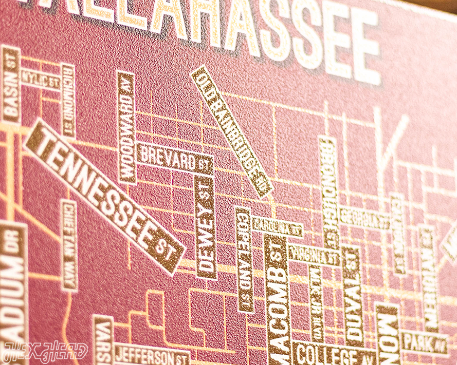 Tallahassee, Florida School Street Poster Single Layer Metal Wall Art