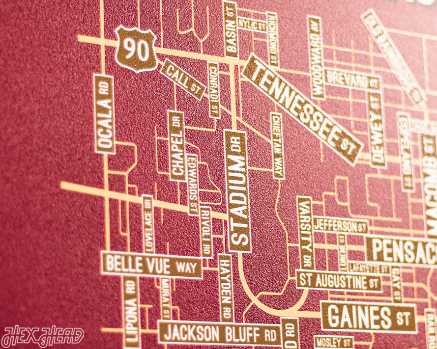 Tallahassee, Florida School Street Poster Single Layer Metal Wall Art