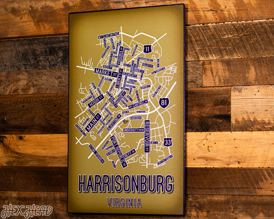 Harrisonburg, Virginia School Street Poster Single Layer Metal Wall Art