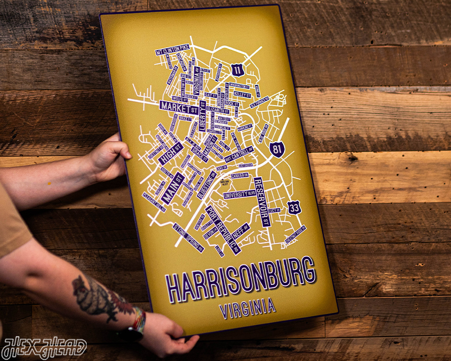 Harrisonburg, Virginia School Street Poster Single Layer Metal Wall Art