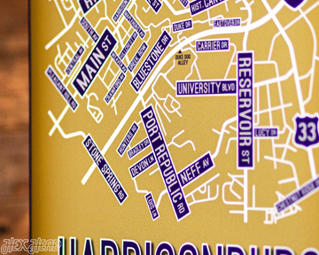 Harrisonburg, Virginia School Street Poster Single Layer Metal Wall Art