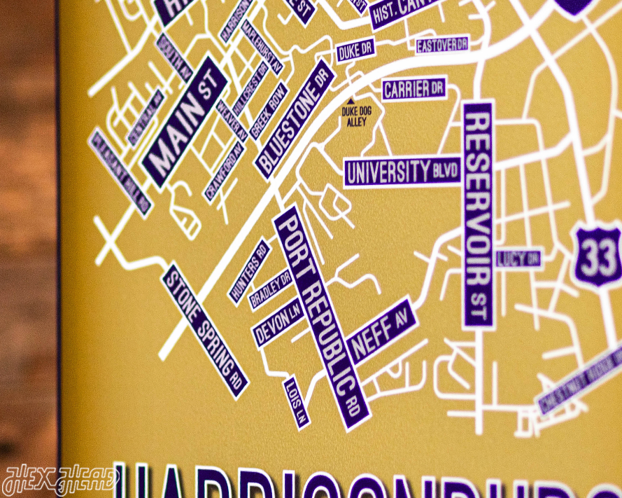 Harrisonburg, Virginia School Street Poster Single Layer Metal Wall Art