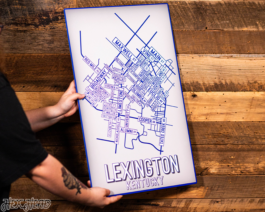 Lexington, Kentucky School Street Poster Single Layer Metal Wall Art
