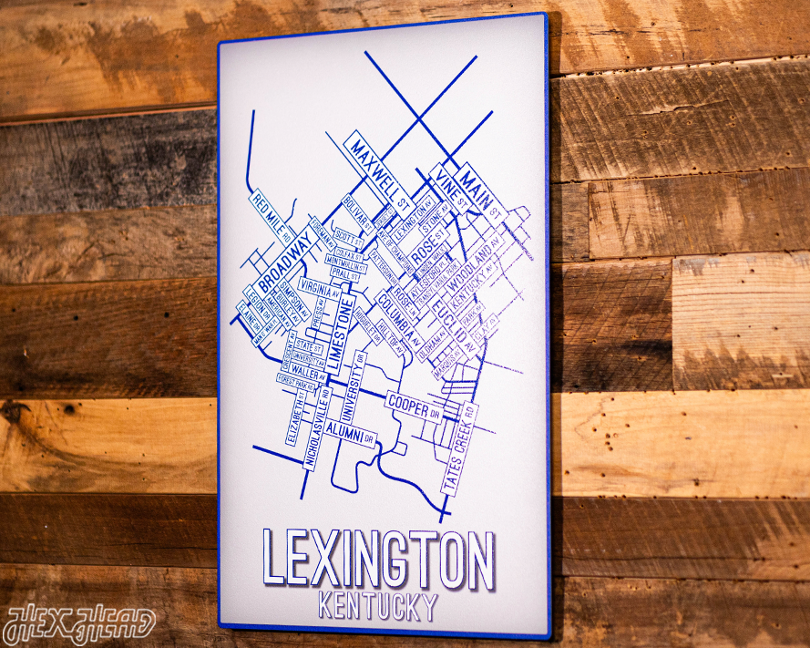 Lexington, Kentucky School Street Poster Single Layer Metal Wall Art