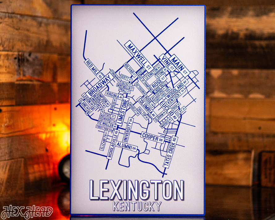 Lexington, Kentucky School Street Poster Single Layer Metal Wall Art