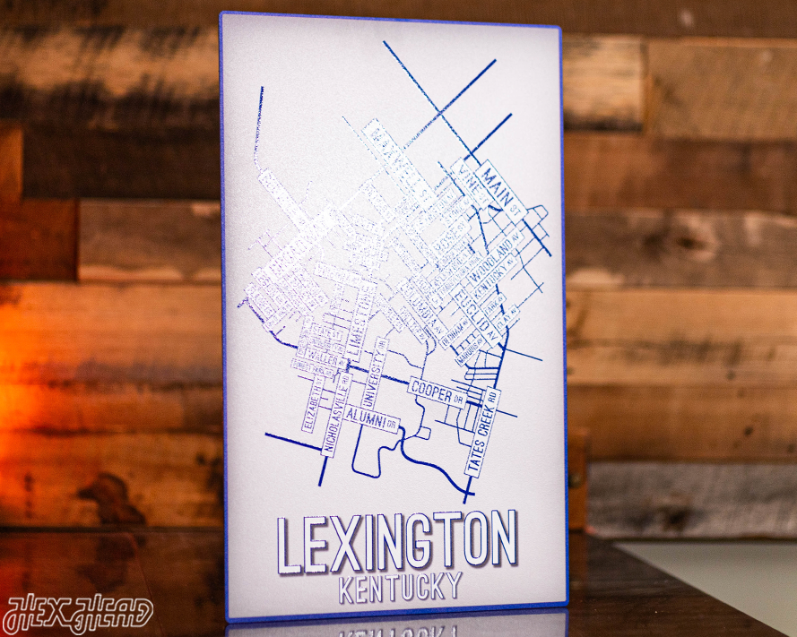 Lexington, Kentucky School Street Poster Single Layer Metal Wall Art