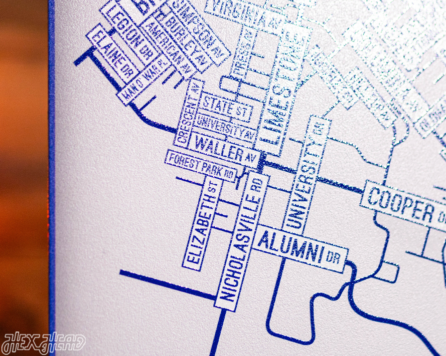 Lexington, Kentucky School Street Poster Single Layer Metal Wall Art