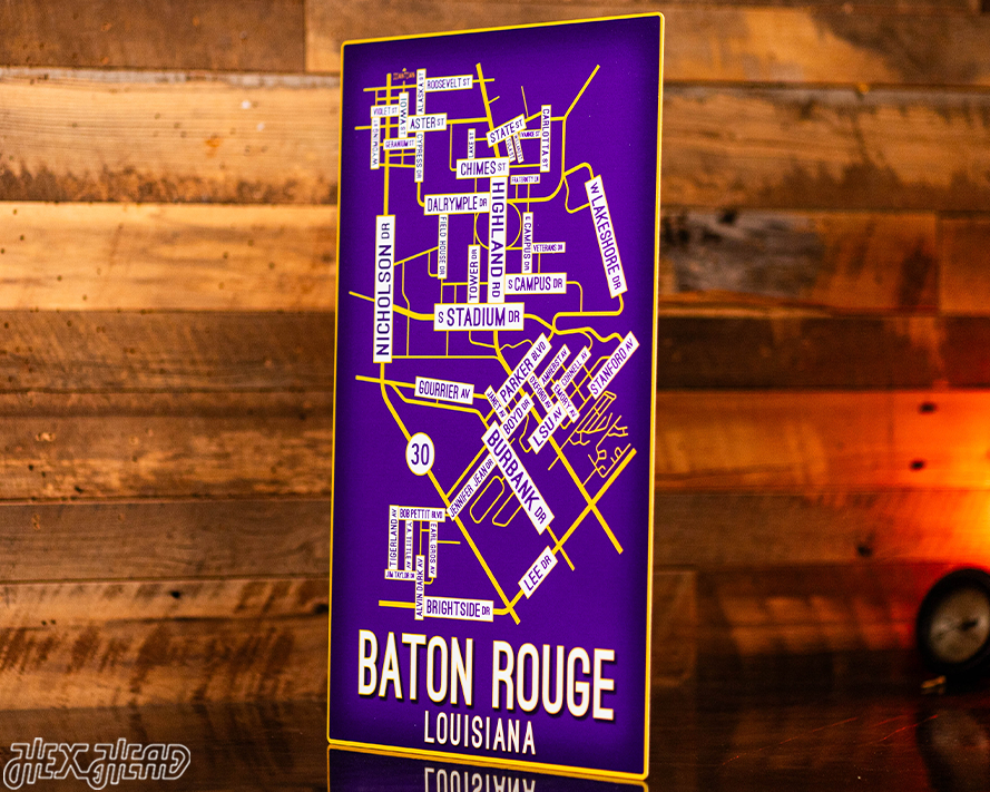 Baton Rouge, Louisiana School Street Poster Single Layer Metal Wall Art