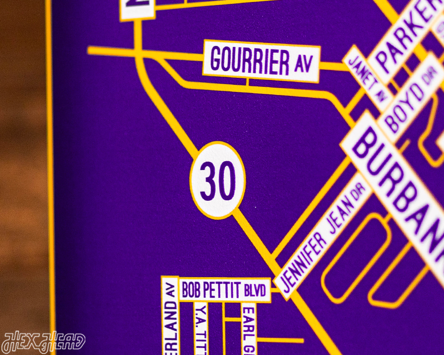 Baton Rouge, Louisiana School Street Poster Single Layer Metal Wall Art