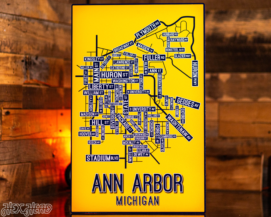Ann Arbor, Michigan School Street Poster Single Layer Metal Wall Art