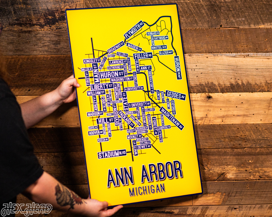 Ann Arbor, Michigan School Street Poster Single Layer Metal Wall Art