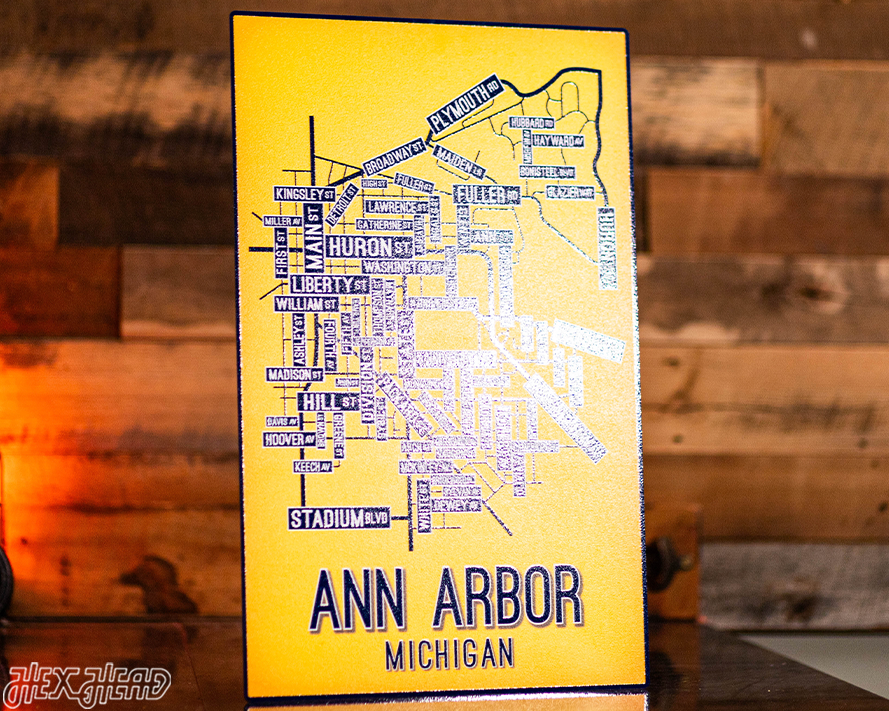 Ann Arbor, Michigan School Street Poster Single Layer Metal Wall Art