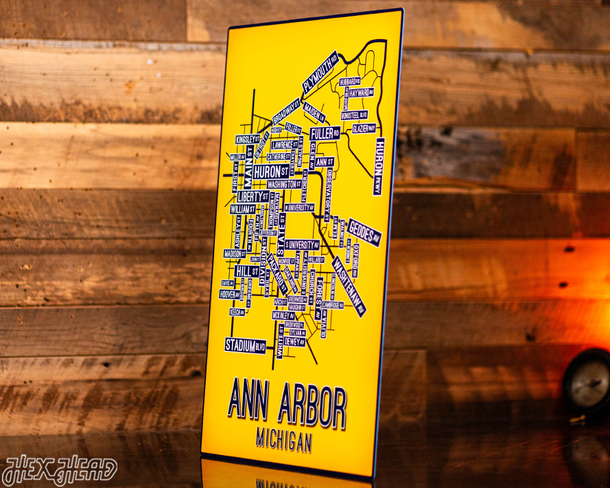 Ann Arbor, Michigan School Street Poster Single Layer Metal Wall Art