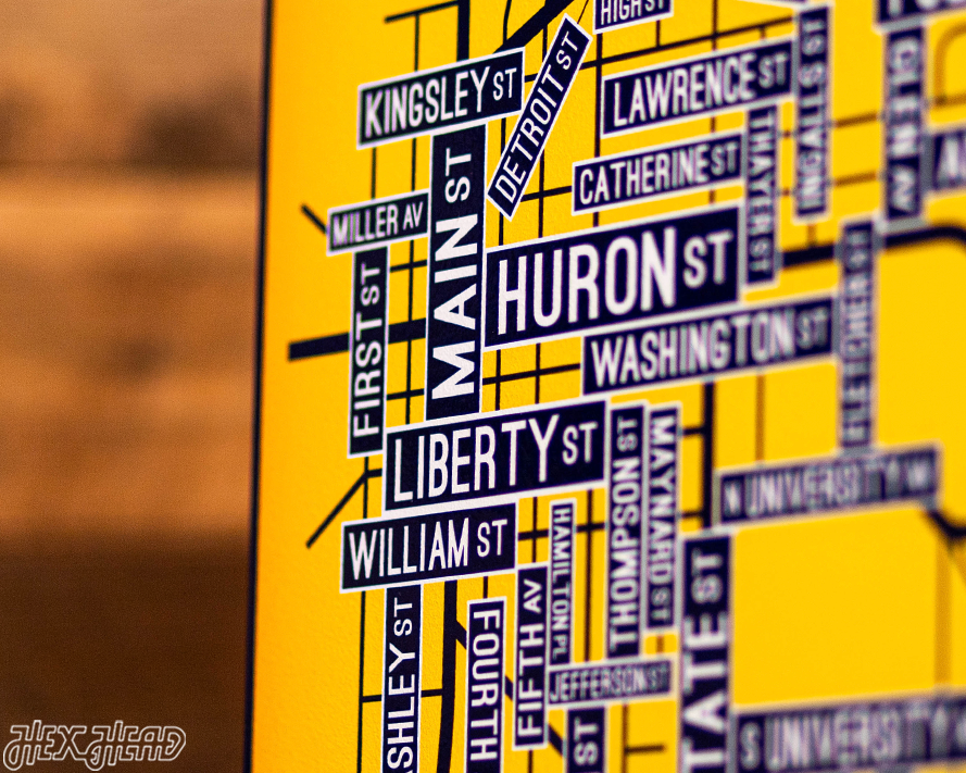 Ann Arbor, Michigan School Street Poster Single Layer Metal Wall Art