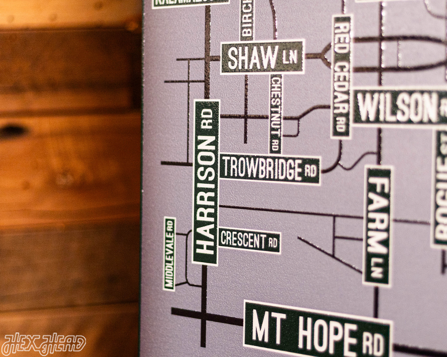 East Lansing, Michigan School Street Poster Single Layer Metal Wall Art