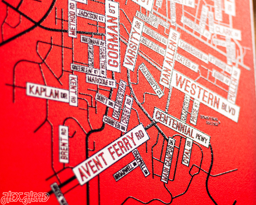 Raleigh, North Carolina School Street Poster Single Layer Metal Wall Art