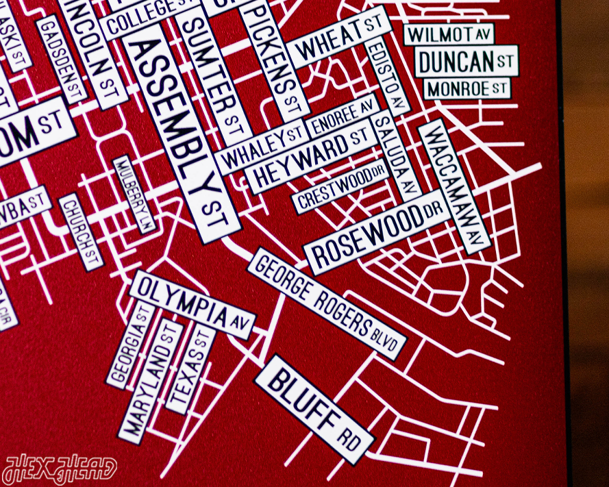 Columbia, South Carolina School Street Poster Single Layer Metal Wall Art