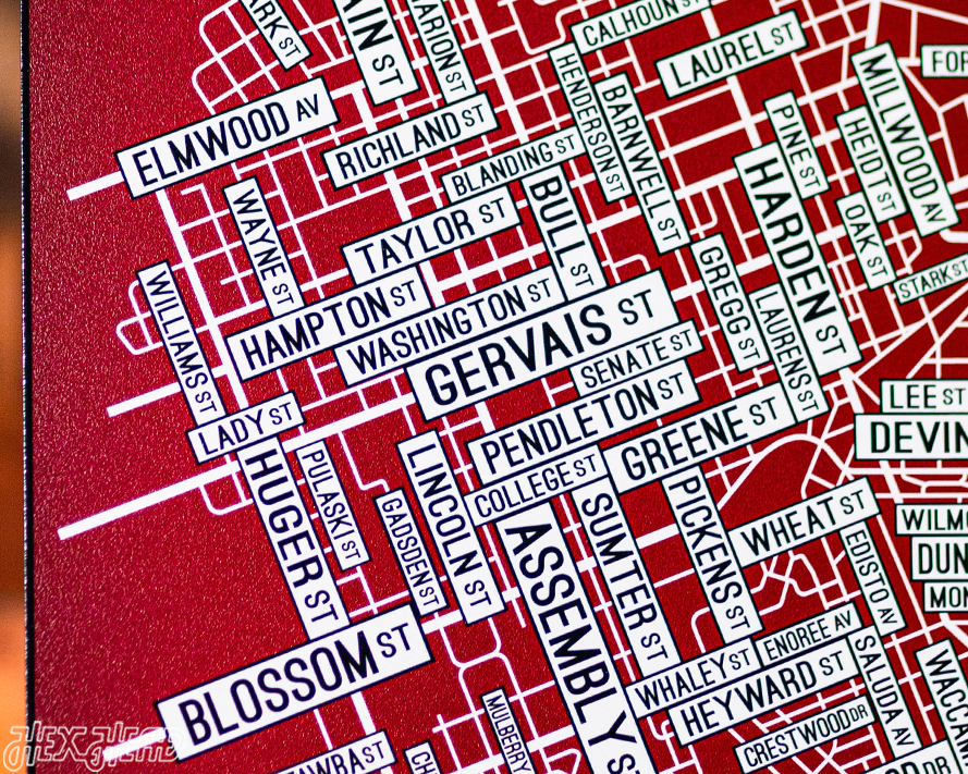 Columbia, South Carolina School Street Poster Single Layer Metal Wall Art