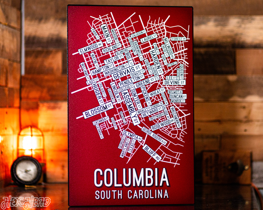 Columbia, South Carolina School Street Poster Single Layer Metal Wall Art