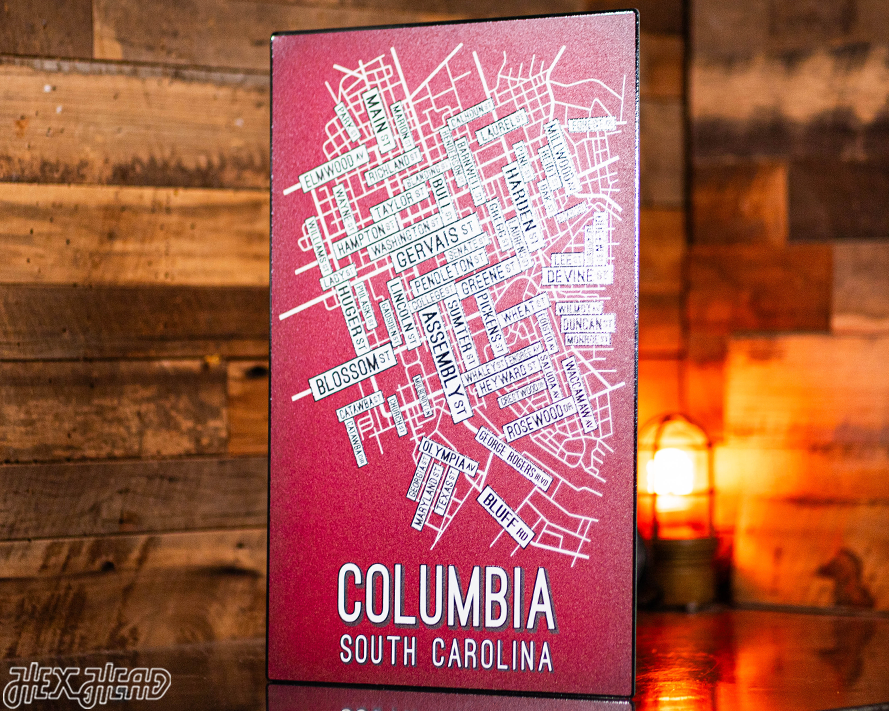 Columbia, South Carolina School Street Poster Single Layer Metal Wall Art