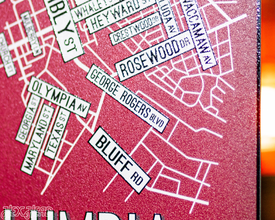 Columbia, South Carolina School Street Poster Single Layer Metal Wall Art